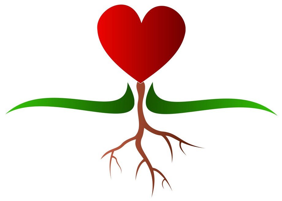 Growing hearts, hands, and minds in grace